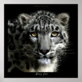 WILD SNOW LEOPARD Art Print Poster (Vorne)