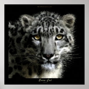 WILD SNOW LEOPARD Art Print Poster