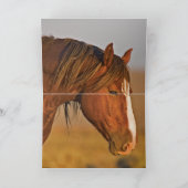 Wild Sorrel Stallion at Dawn Wild Horse Card Karte (Innenseite)