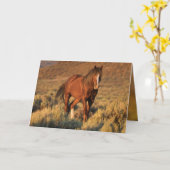 Wild Sorrel Stallion at Dawn Wild Horse Card Karte (Gelbe Blume)