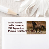 Wild SPANISH MUSTANG HORSE Rücksendeadressen-Aufkl (Insitu)