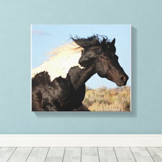 Wild Stallion Canvas Print Leinwanddruck (Insitu (Holzboden))