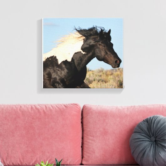 Wild Stallion Canvas Print Leinwanddruck (Insitu (Wohnzimmer))
