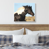 Wild Stallion Canvas Print Leinwanddruck (Insitu (Schlafzimmer))