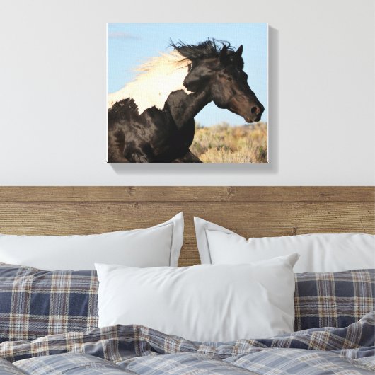 Wild Stallion Canvas Print Leinwanddruck (Insitu (Schlafzimmer))