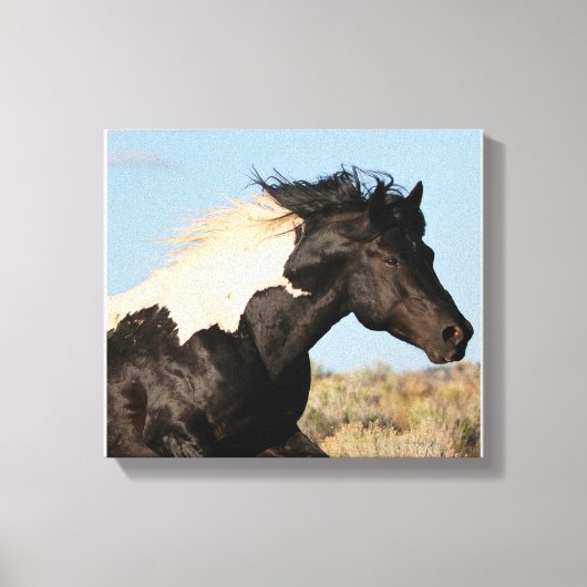 Wild Stallion Canvas Print Leinwanddruck (Vorderseite)