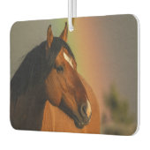 Wild Stallion, Golden Light and Rainbow Autolufterfrischer (Links)