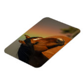 Wild Stallion, Golden Light and Rainbow Magnet (Linke Seite)