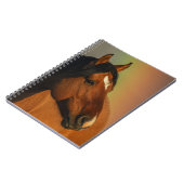 Wild Stallion, Golden Light and Rainbow Notizblock (Linke Seite)