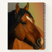 Wild Stallion, Golden Light and Rainbow Notizblock (Rückseite)