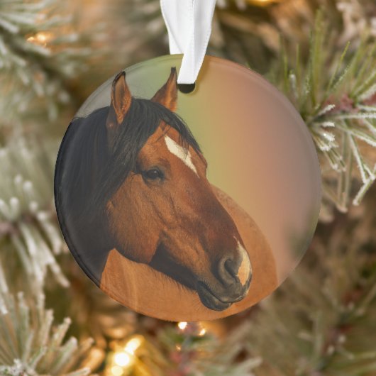 Wild Stallion, Golden Light and Rainbow Ornament (Baum)