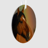 Wild Stallion, Golden Light and Rainbow Ornament (Vorderseite)