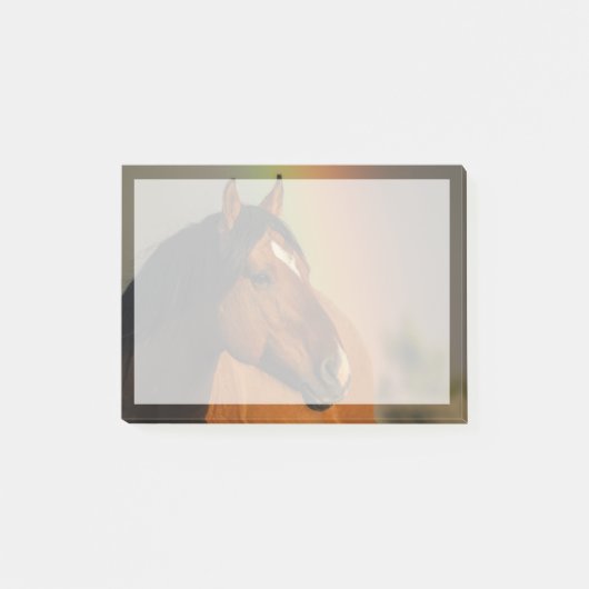 Wild Stallion, Golden Light and Rainbow Post-it Klebezettel (Vorderseite)
