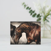 Wild-Stallion-Postkarte Postkarte (Stehend Vorderseite)
