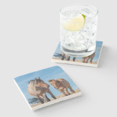 Wild Stallion und Wild Mustang Foal Steinuntersetzer (Seitenansicht)