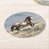 Wild-Stallion-Untersetzer Runder Pappuntersetzer (Angewinkelt)
