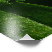 Wild Strawberry Blume Fotodruck (Ecke)