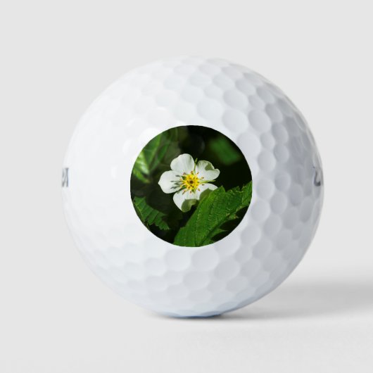 Wild Strawberry Blume Golfball (Vorderseite)