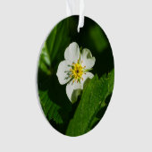 Wild Strawberry Blume Ornament (Vorderseite)