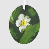 Wild Strawberry Blume Ornament (Vorderseite)