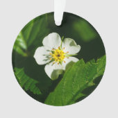 Wild Strawberry Blume Ornament (Vorderseite)