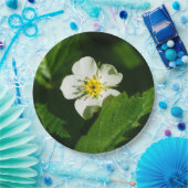 Wild Strawberry Blume Pappteller (Party)