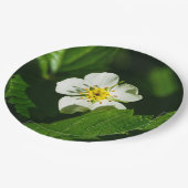Wild Strawberry Blume Pappteller (Schrägansicht)