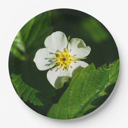 Wild Strawberry Blume Pappteller (Vorderseite)