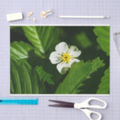 Wild Strawberry Blume Seidenpapier (Handwerk)