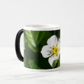 Wild Strawberry Blume Verwandlungstasse (Vorderseite Links)