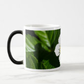 Wild Strawberry Blume Verwandlungstasse (Links)