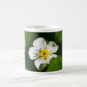 Wild Strawberry Blume Verwandlungstasse (Mittel)