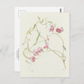 Wild Sweet Pea von Margaret Armstrong Postkarte (Vorne/Hinten)