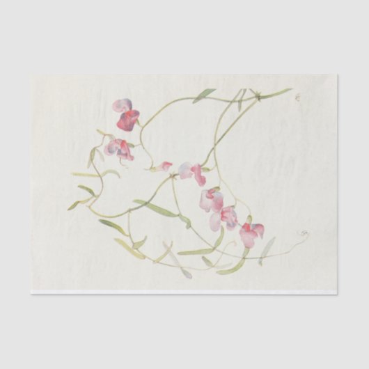 Wild Sweet Pea von Margaret Armstrong Seidenpapier (Vorderseite)