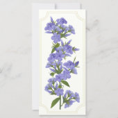 Wild Sweet William Rack Card (Vorderseite)
