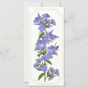 Wild Sweet William Rack Card