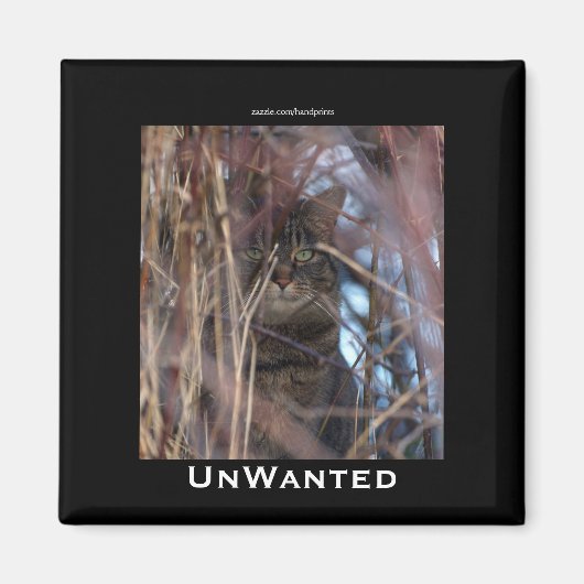 Wild Tabby Cat Demotivational Animal Magnet (Vorne)