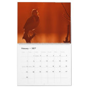 Wild Thing Kalender (Feb 2027)