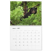 Wild Thing Kalender (Mär 2027)
