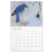 Wild Thing Kalender (Jan 2027)