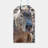 WILD TIERCAPYBARA GESCHENKANHÄNGER (Vorderseite)