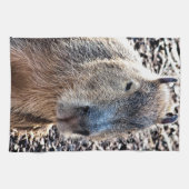 WILD TIERCAPYBARA GESCHIRRTUCH (Horizontal)