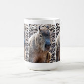 WILD TIERCAPYBARA KAFFEETASSE (Mittel)