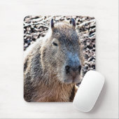 WILD TIERCAPYBARA MOUSEPAD (Mit Mouse)