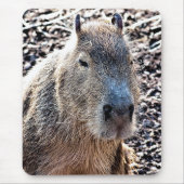 WILD TIERCAPYBARA MOUSEPAD (Vorne)
