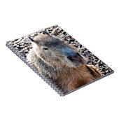 WILD TIERCAPYBARA NOTIZBLOCK (Rechte Seite)