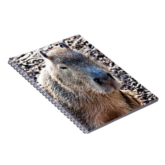 WILD TIERCAPYBARA NOTIZBLOCK (Rechte Seite)