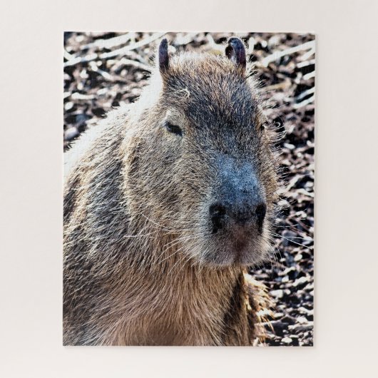 WILD TIERCAPYBARA PUZZLE (Vertikal)