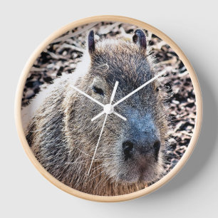 WILD TIERCAPYBARA UHR