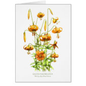 Wild Tiger Lilies (Vorne)